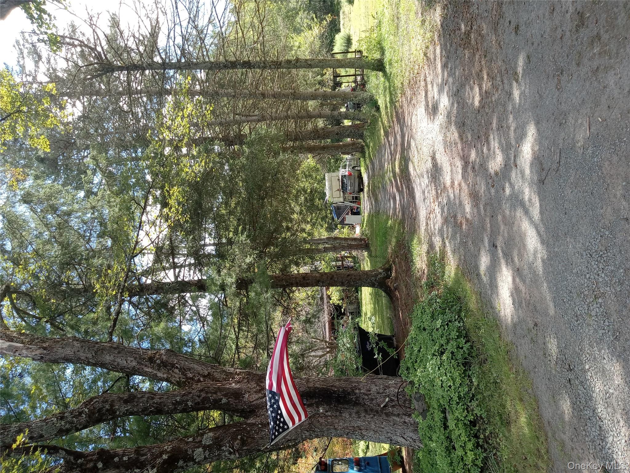 834 Cooley Road Parksville, NY 12768 - Photo 28 of 28 a view of a park with large trees