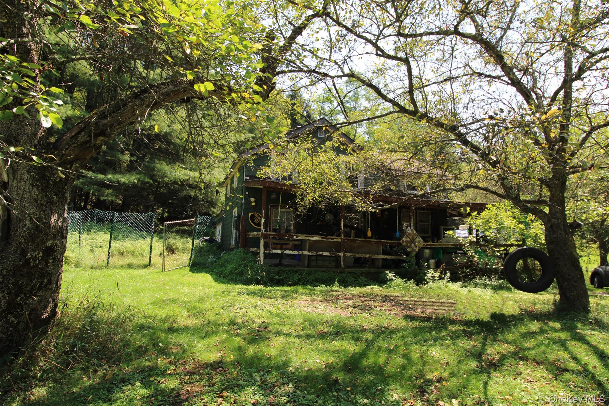 834 Cooley Road Parksville, NY 12768 - Photo 3 of 28 a view of backyard with green space