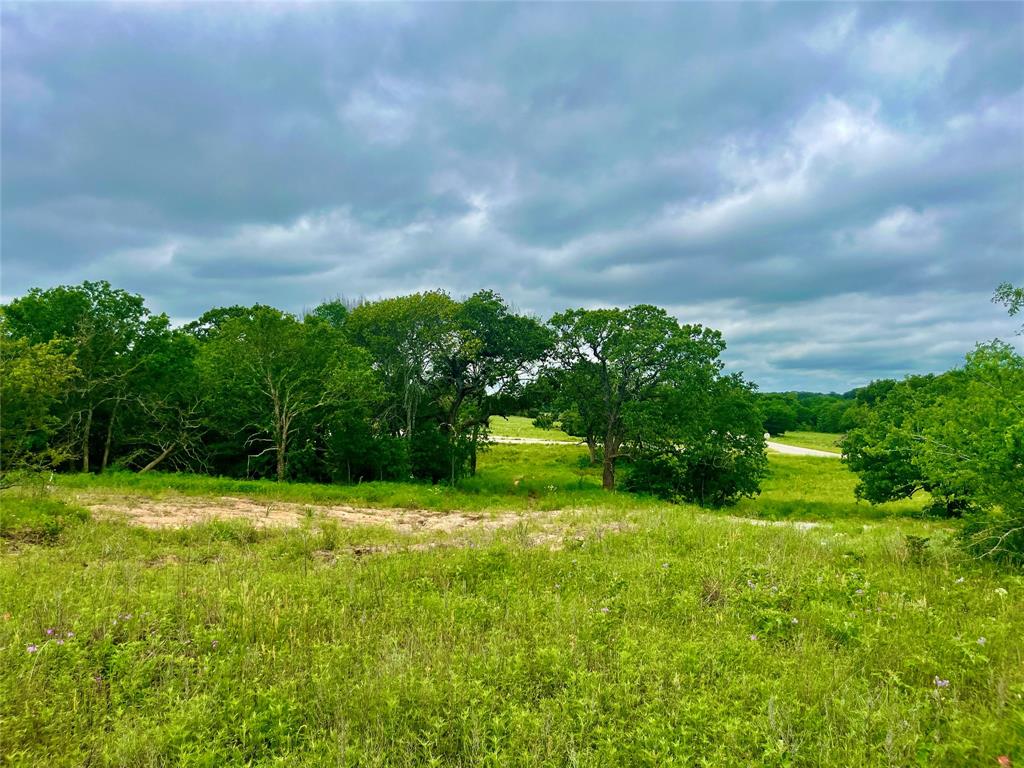 Lot 9 Clare Road Poolville, TX 76487 - Photo 3 of 4 View of nature