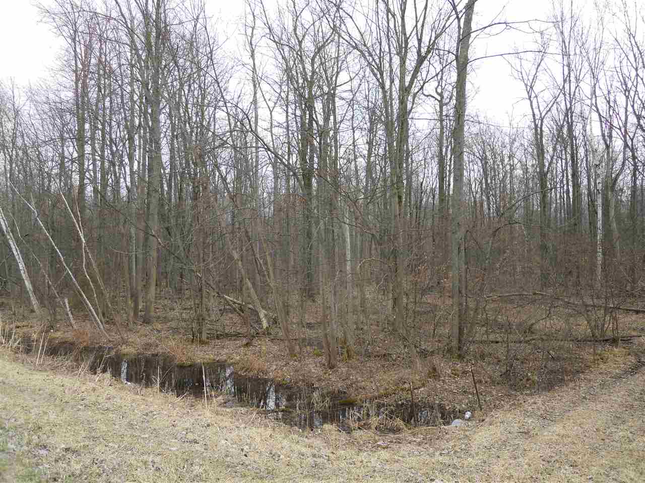 Ormes Road Millington, MI 48746 - Photo 2 of 7