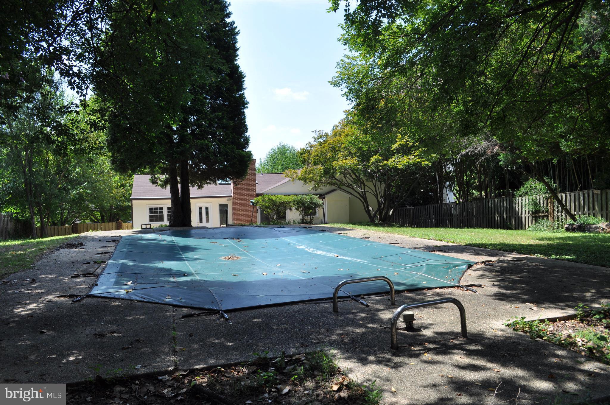 4302 Locust Lane Bethesda, MD 20816 - Photo 3 of 25 a view of a backyard with large trees