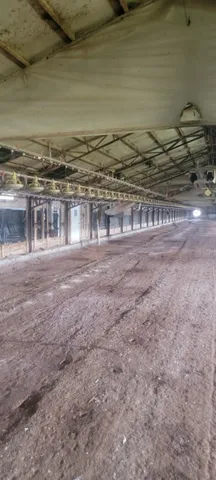 $450,000 | 11200 Fm 699, Joaquin, TX 75954