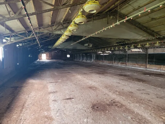 $450,000 | 11200 Fm 699, Joaquin, TX 75954