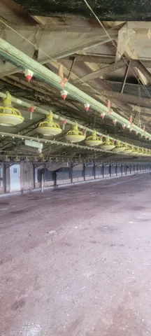 $450,000 | 11200 Fm 699, Joaquin, TX 75954