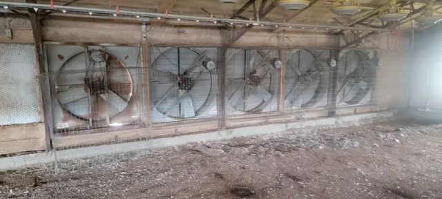 $450,000 | 11200 Fm 699, Joaquin, TX 75954