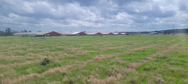 $450,000 | 11200 Fm 699, Joaquin, TX 75954