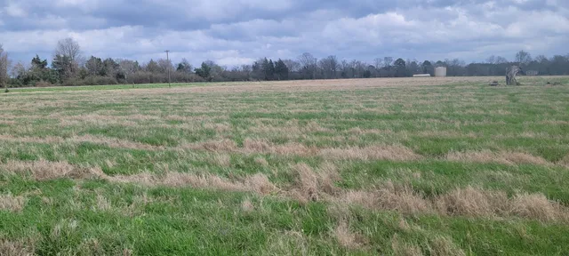 $450,000 | 11200 Fm 699, Joaquin, TX 75954