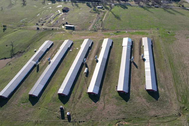 $450,000 | 11200 Fm 699, Joaquin, TX 75954