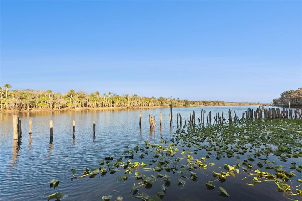 2565 East Osceola Road Geneva, FL 32732 - Photo 25 of 89