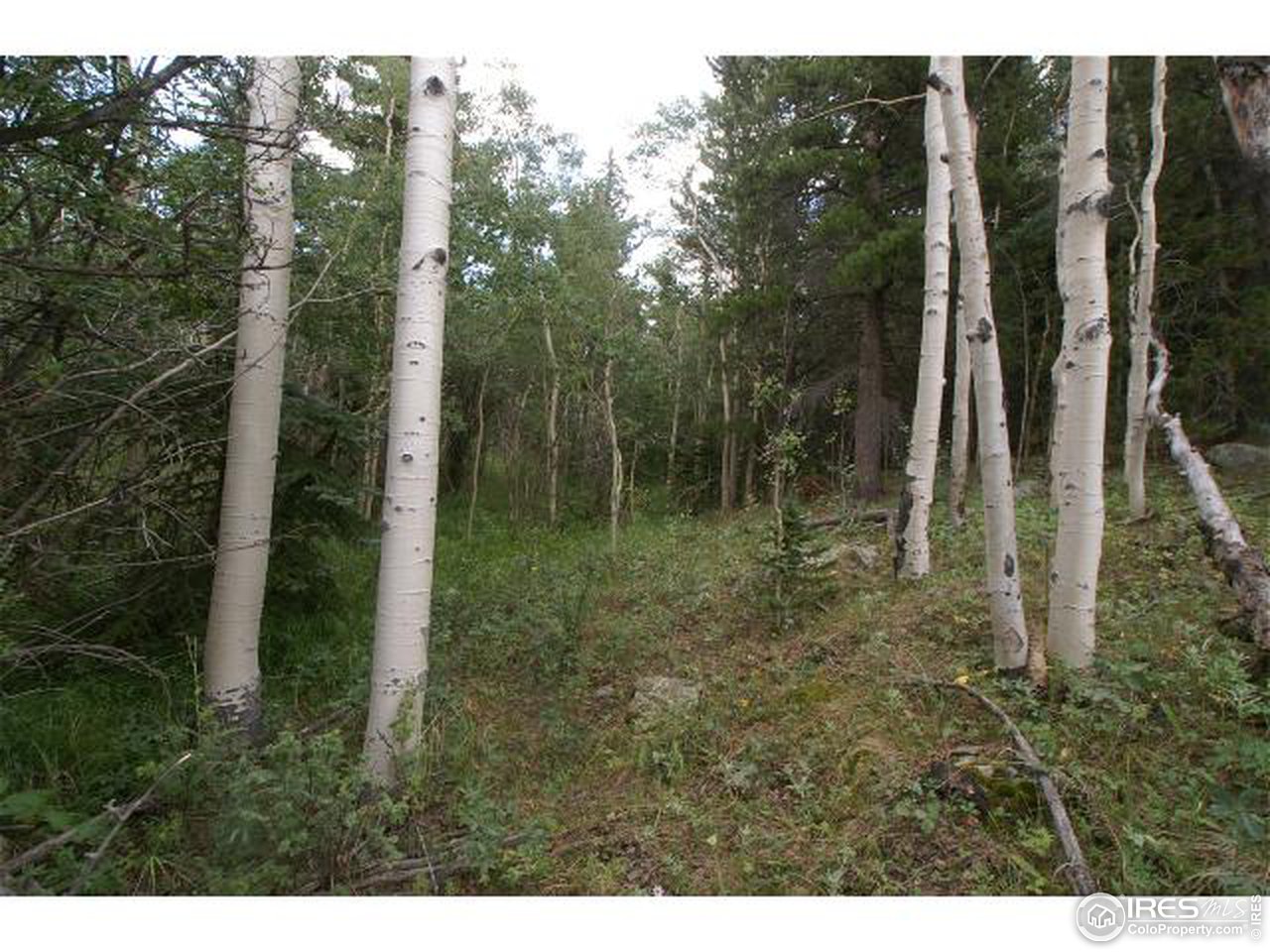 Emery Road Black Hawk, CO 80422 - Photo 4 of 9 Gallery Image 4