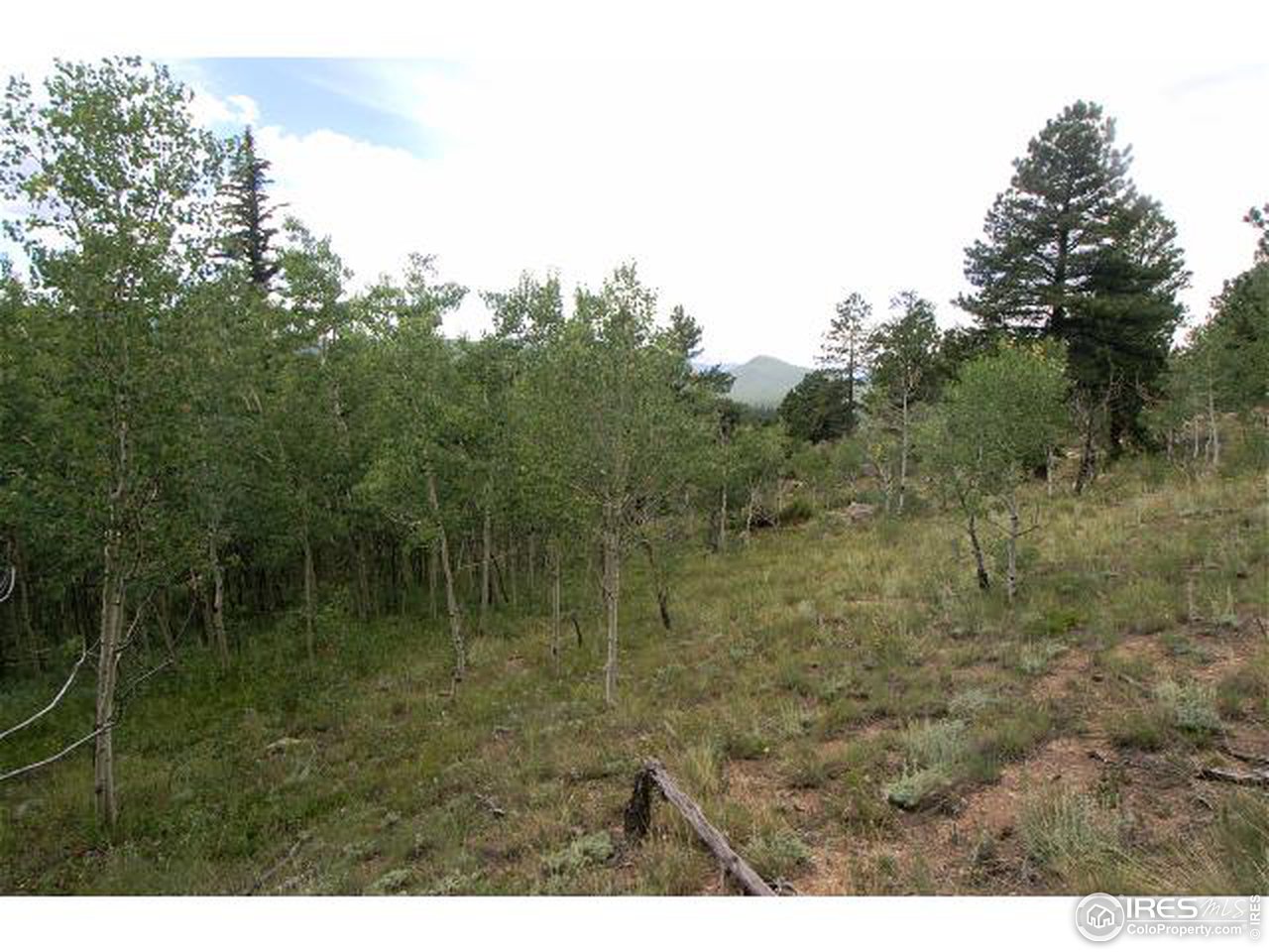 Emery Road Black Hawk, CO 80422 - Photo 5 of 9 Gallery Image 5