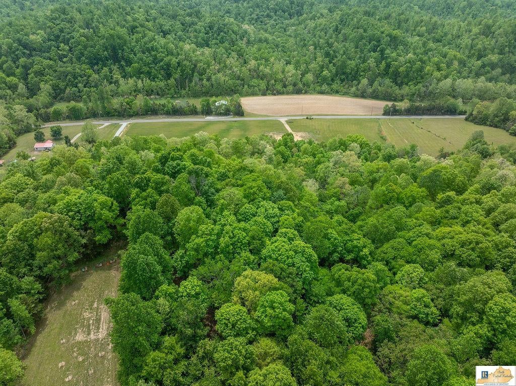 7026 Breeding Road Edmonton, KY 42129 - Photo 21 of 25 Gallery Image 21