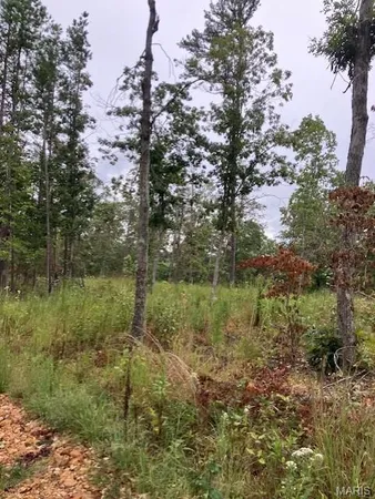 $287,100 | 44 Madison Cr, Fredericktown, MO 63645