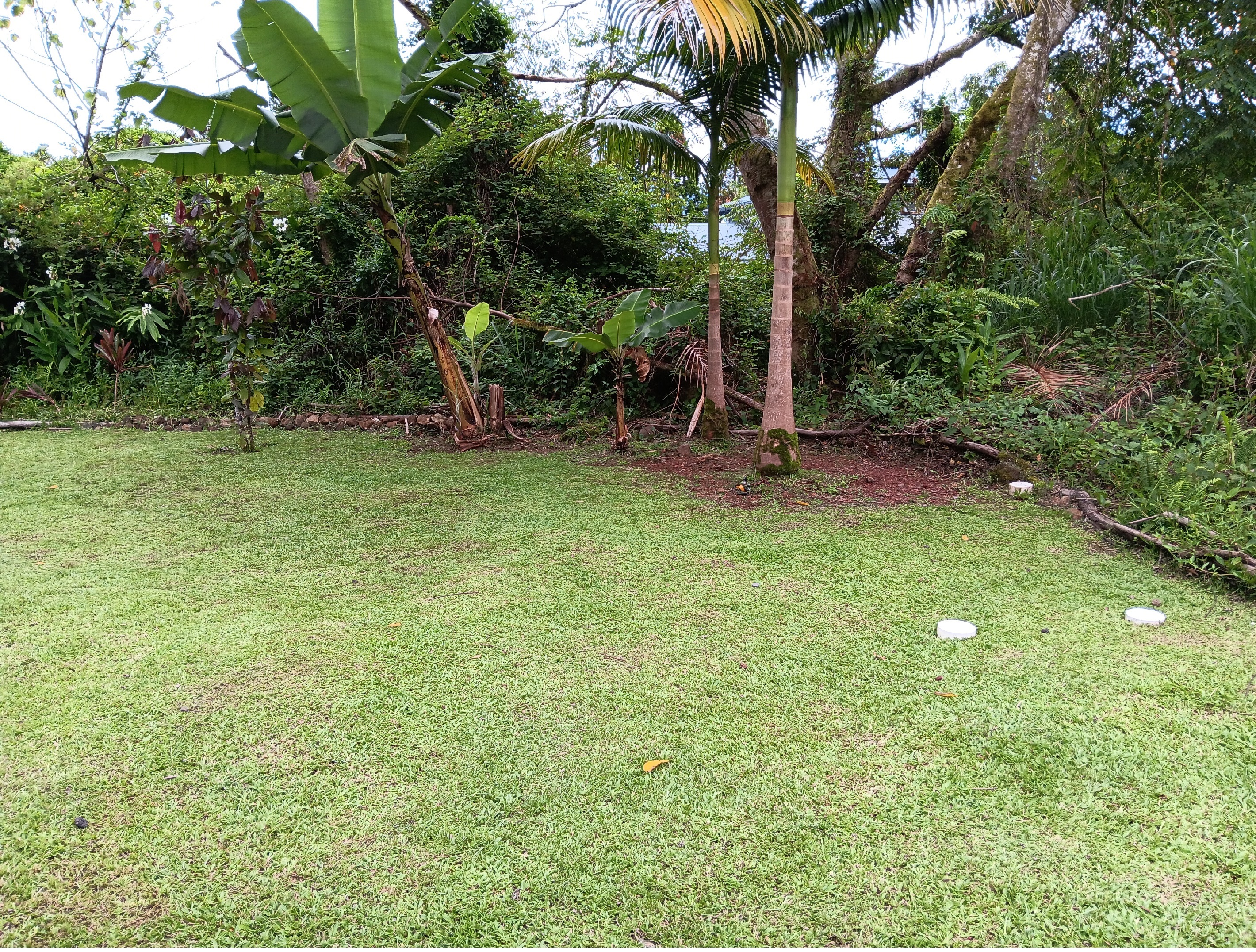 18-7856 Ekika Road Mountain View, HI 96771 - Photo 2 of 7 a view of outdoor space