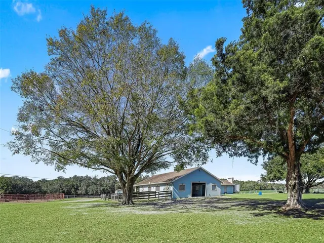 a large tree in middle of the green field