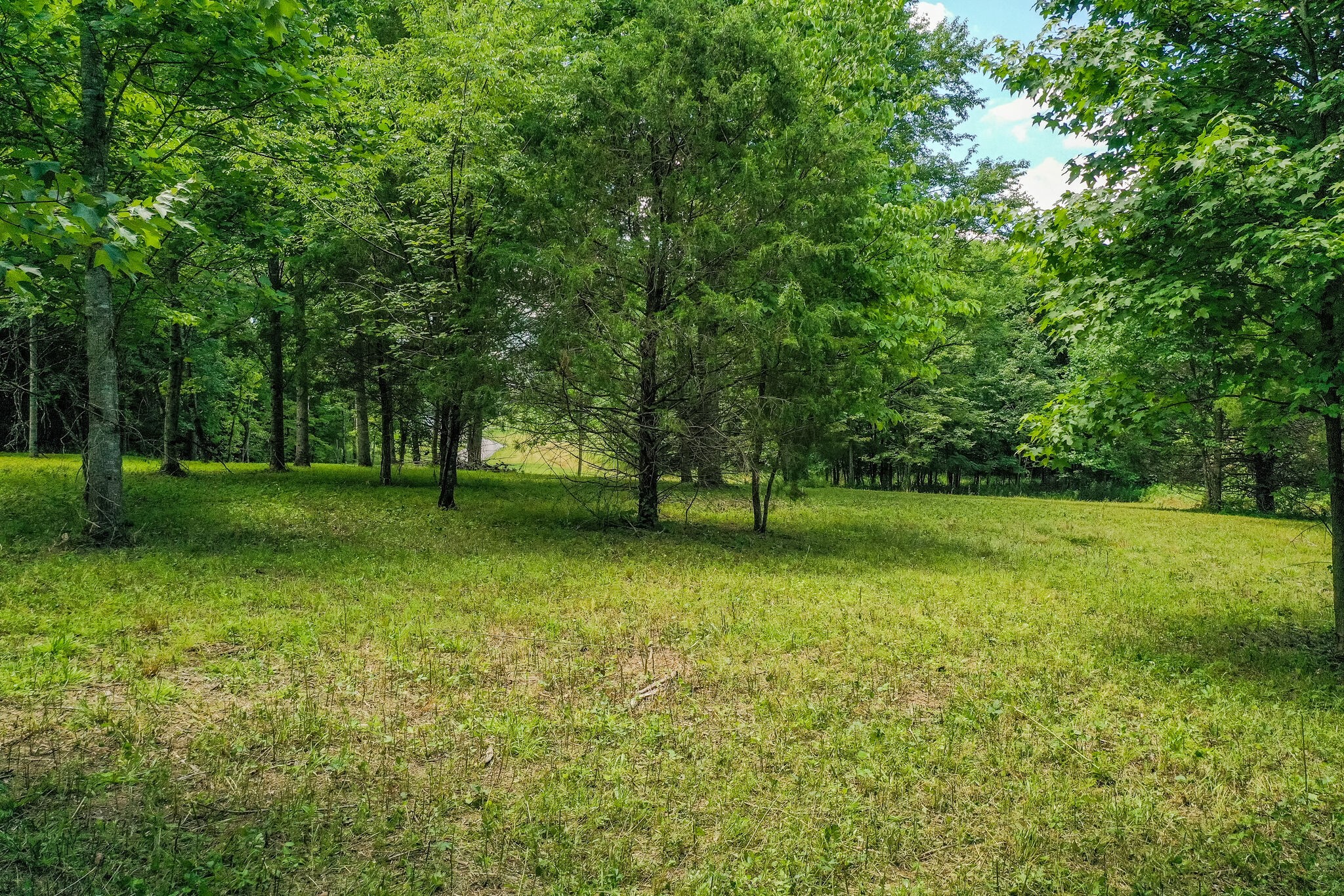 3863 West Road Springfield, TN 37172 - Photo 18 of 70