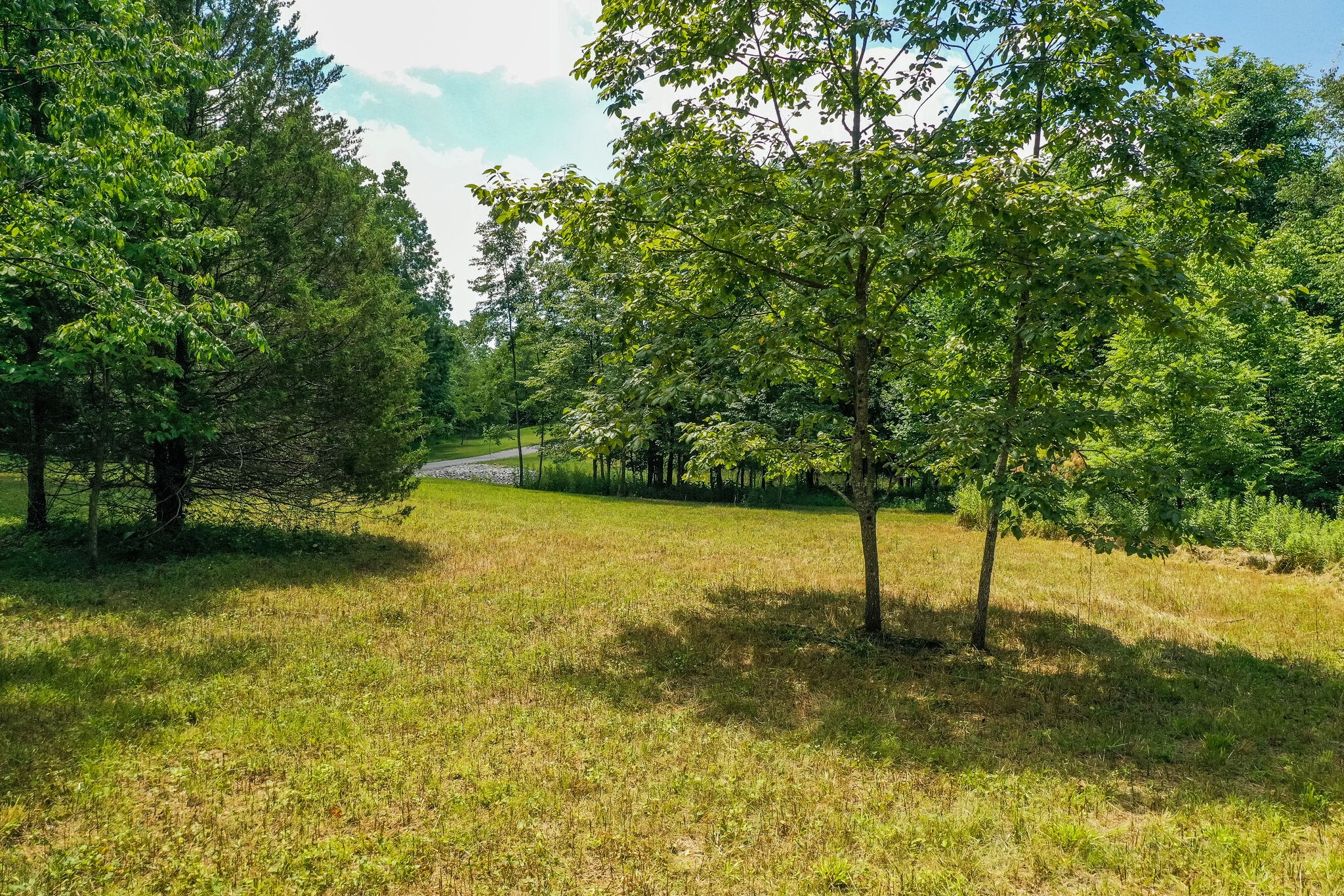 3863 West Road Springfield, TN 37172 - Photo 20 of 70