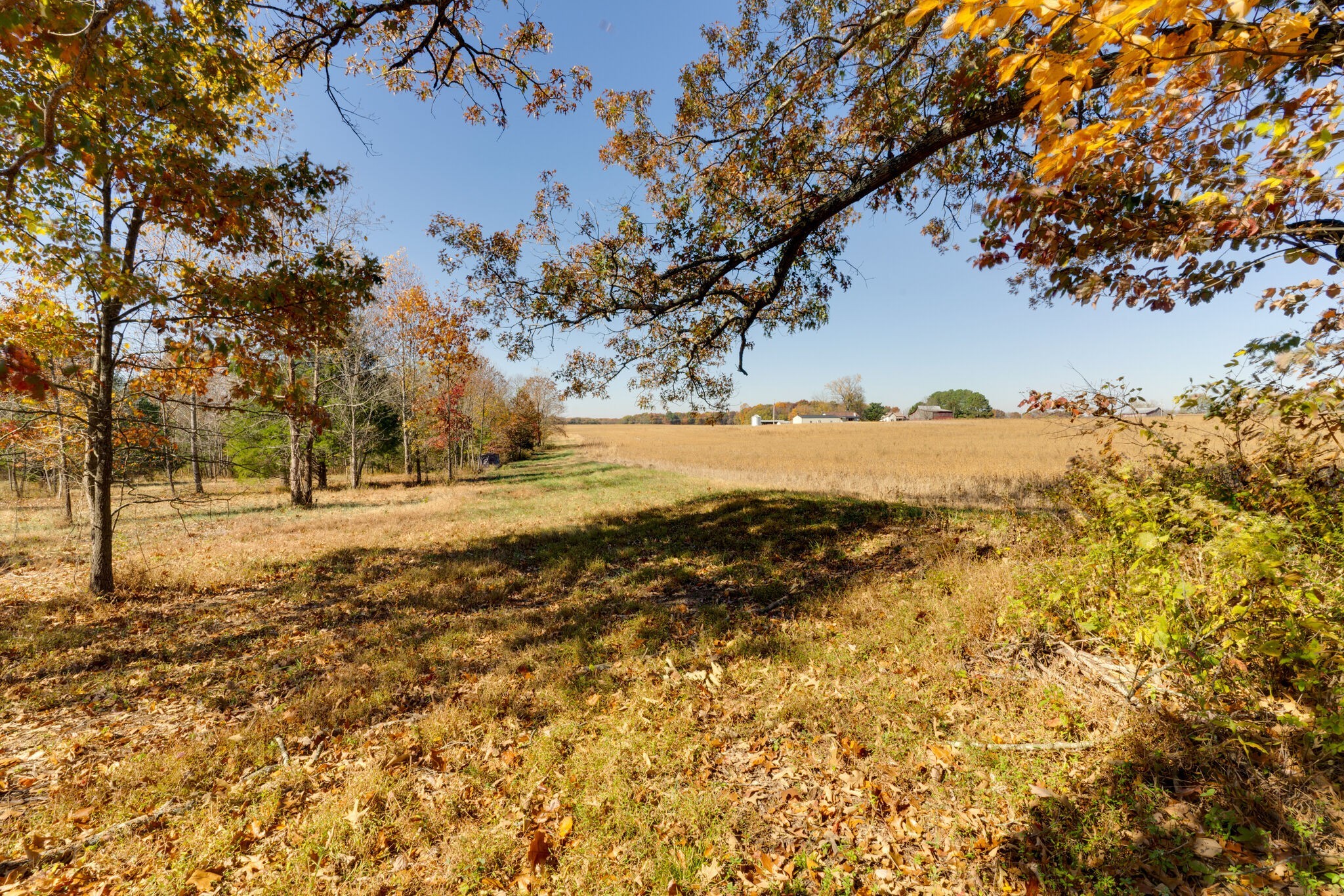 3863 West Road Springfield, TN 37172 - Photo 47 of 70