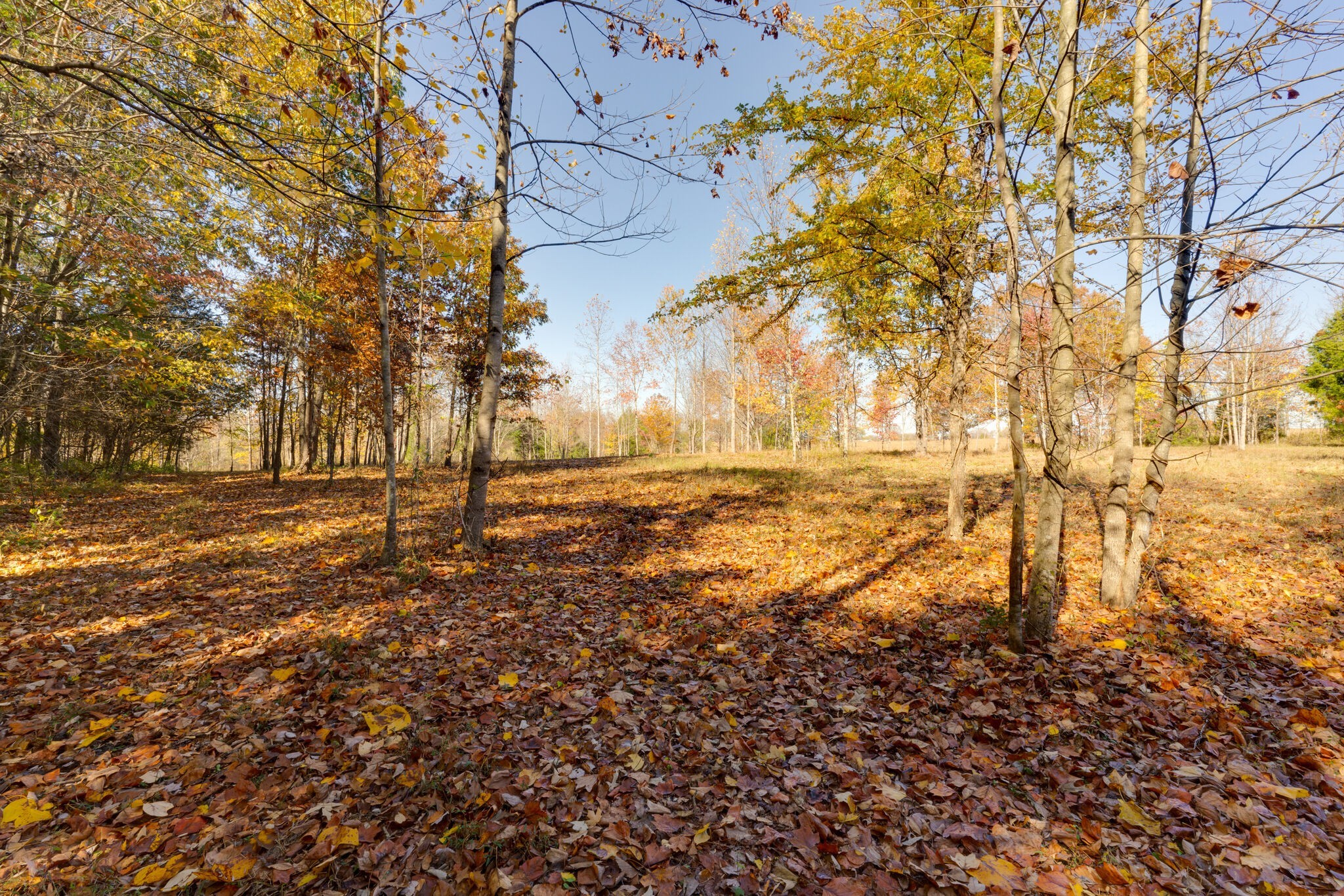3863 West Road Springfield, TN 37172 - Photo 49 of 70