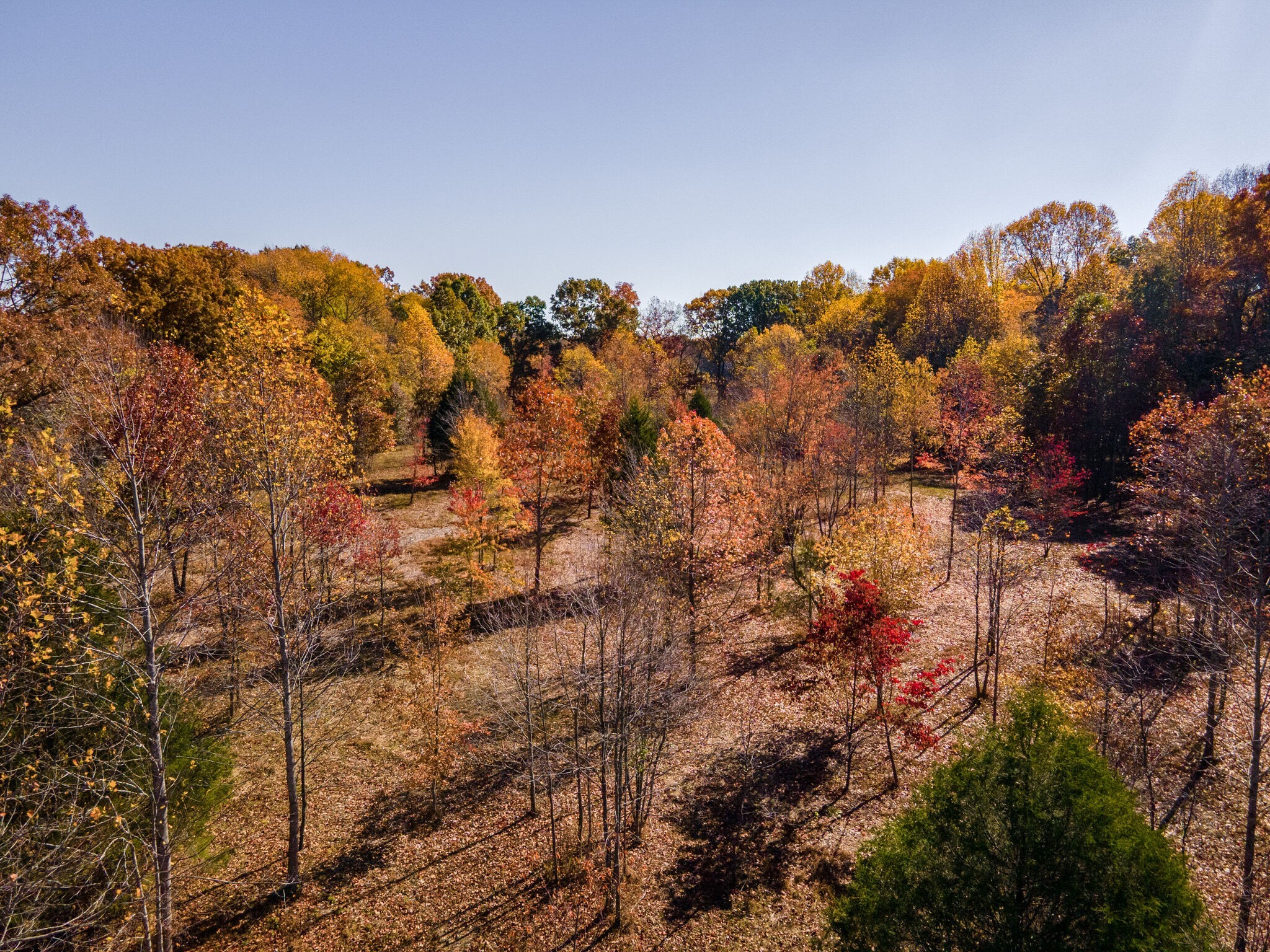 3863 West Road Springfield, TN 37172 - Photo 53 of 70