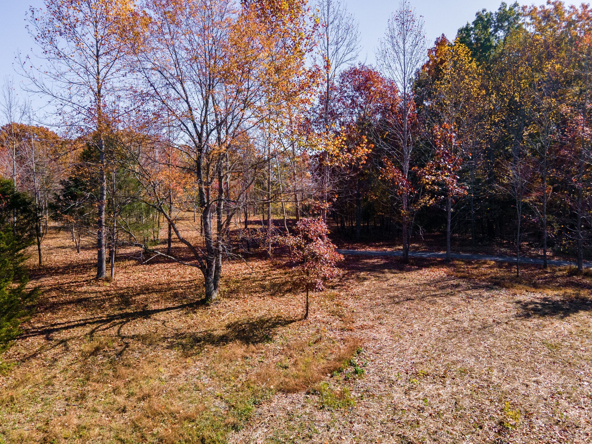 3863 West Road Springfield, TN 37172 - Photo 54 of 70