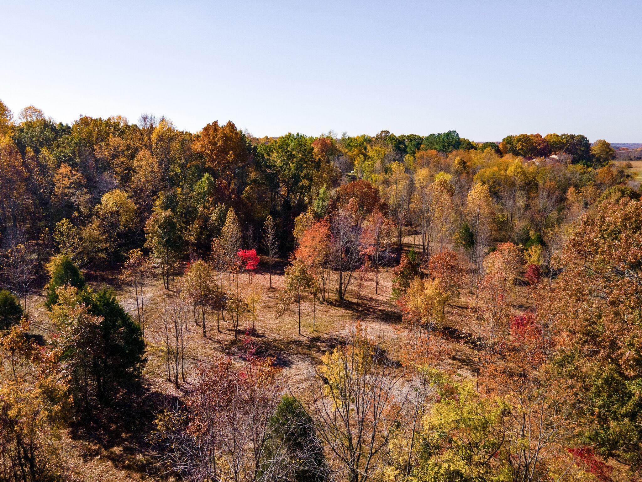 3863 West Road Springfield, TN 37172 - Photo 60 of 70