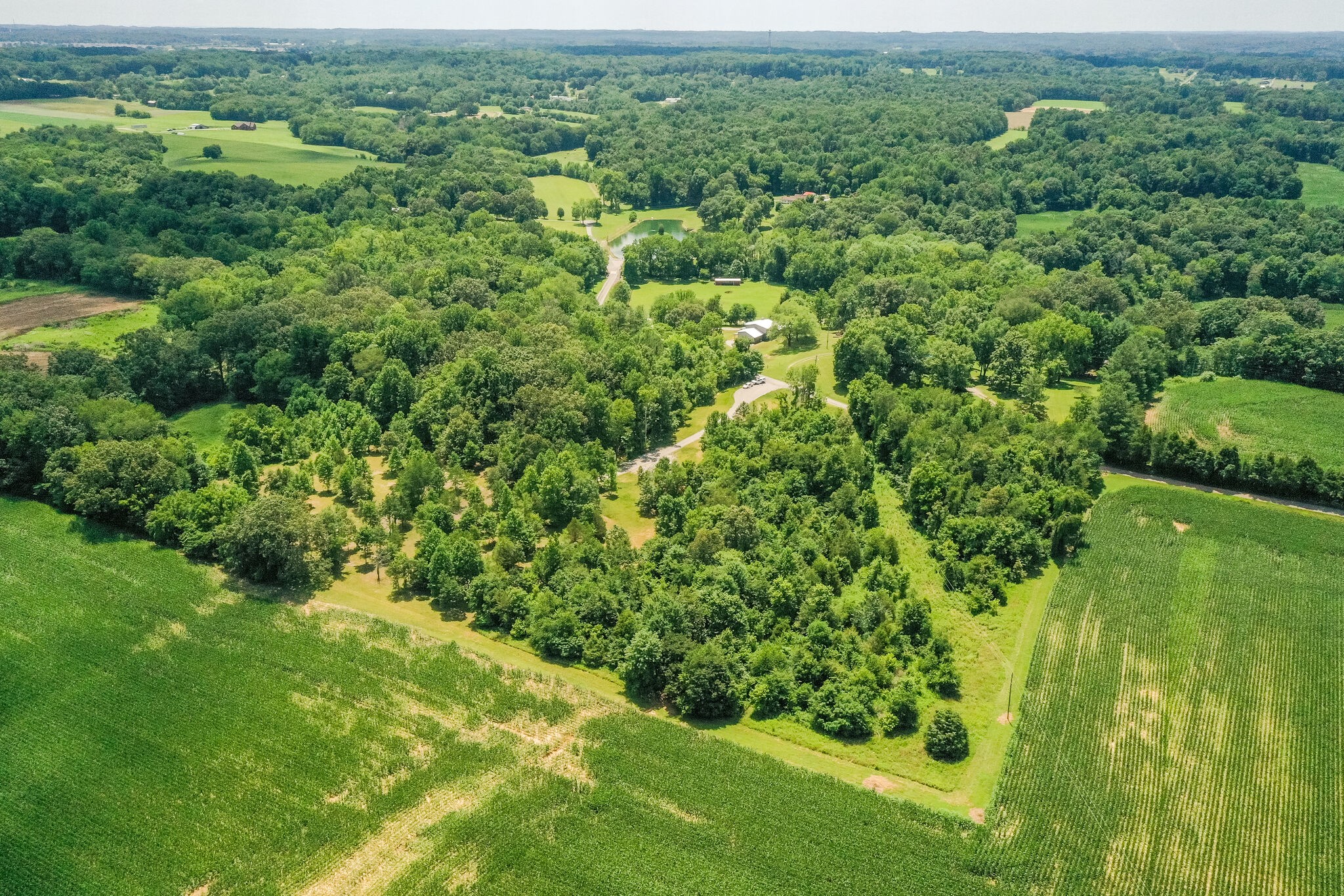 3863 West Road Springfield, TN 37172 - Photo 7 of 70