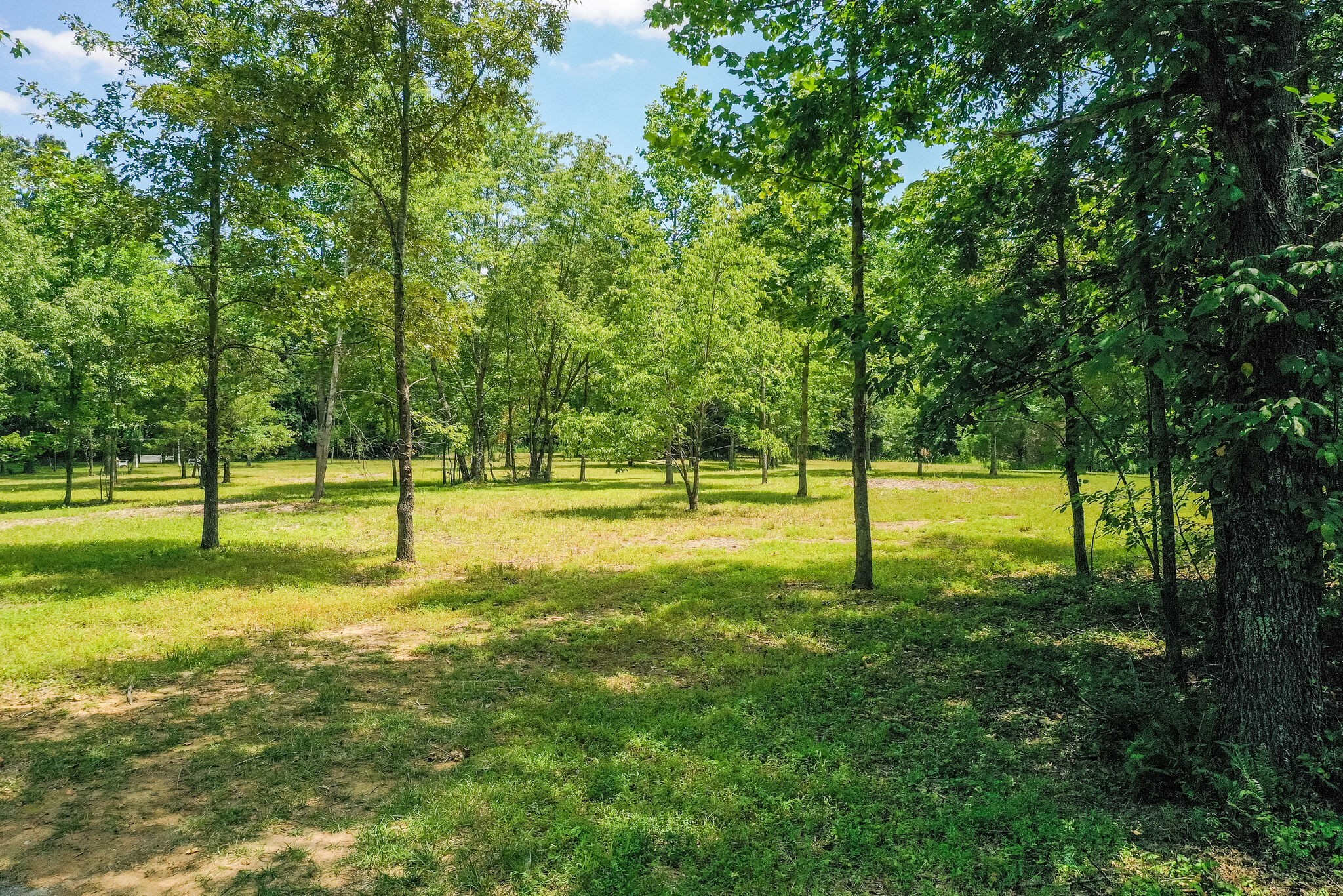 3863 West Road Springfield, TN 37172 - Photo 8 of 70