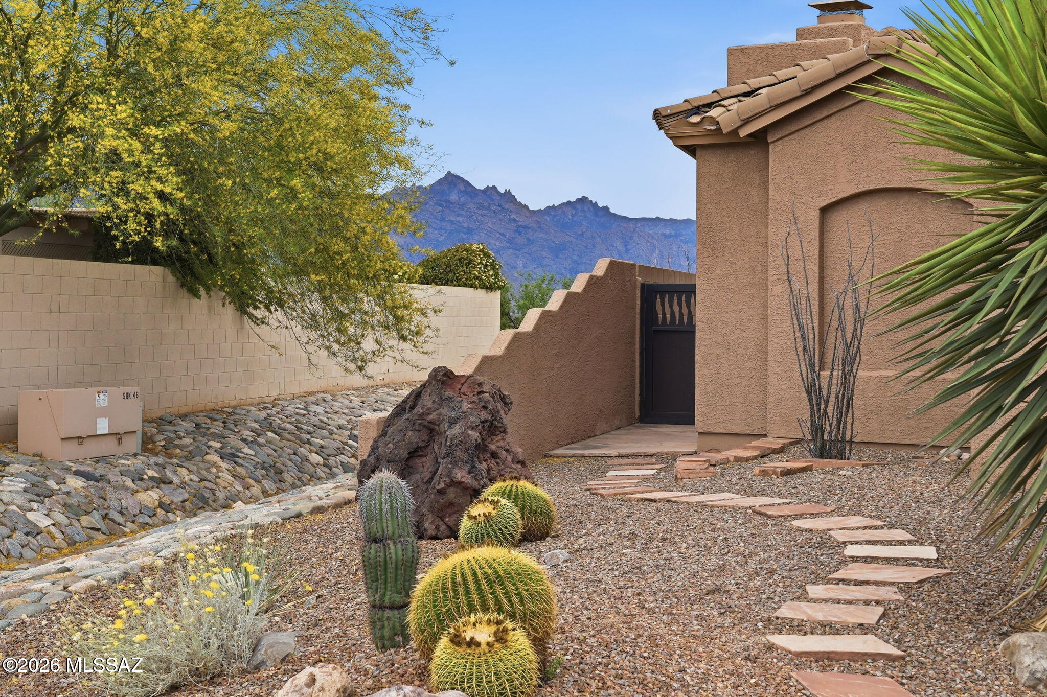 38200 South Stone Ridge Court Tucson, AZ 85739 - Photo 29 of 51 Side walkway