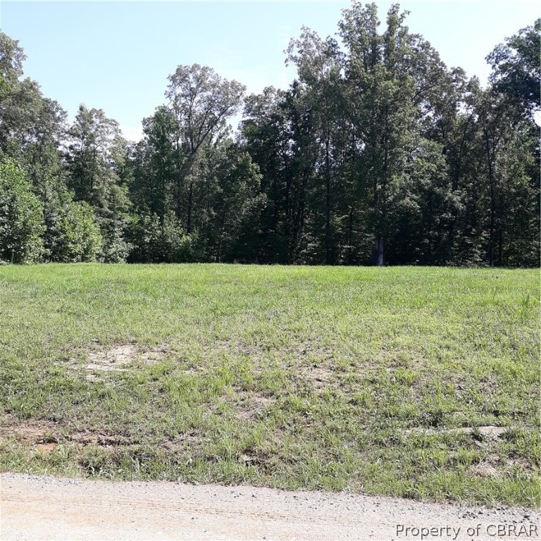 0 Deer Park Road Champlain, VA 22438 - Photo 9 of 9