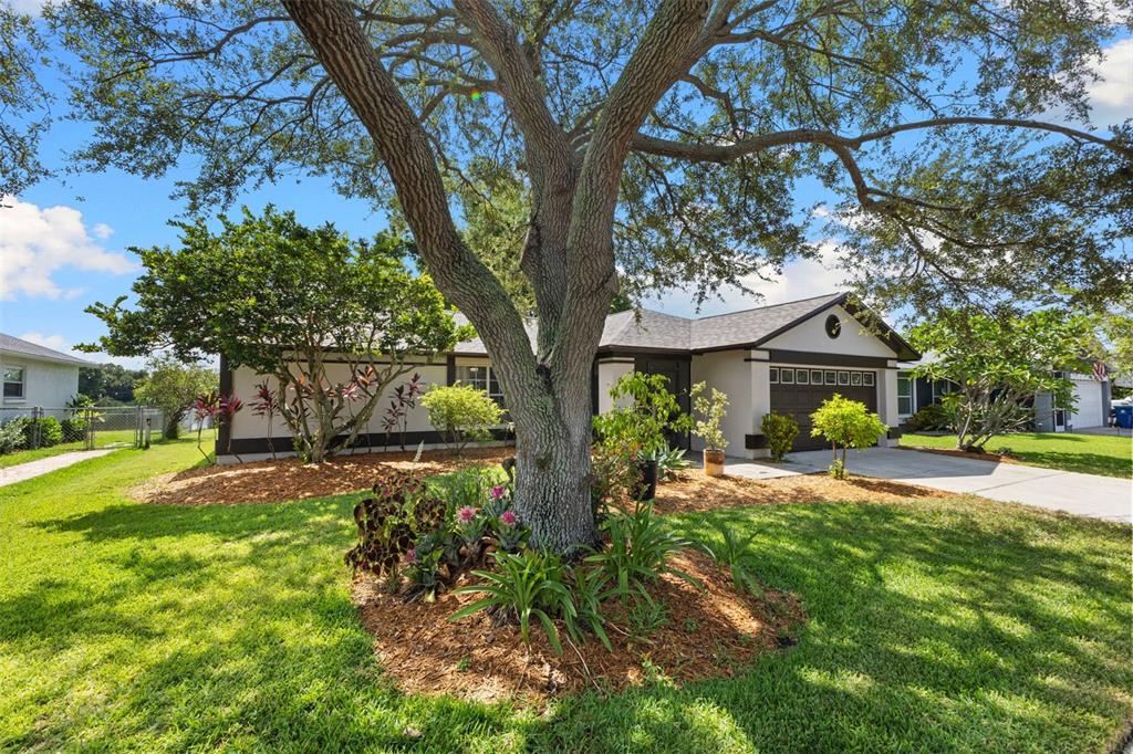 12149 Wild Acres Road Largo, FL 33773 - Photo 2 of 49