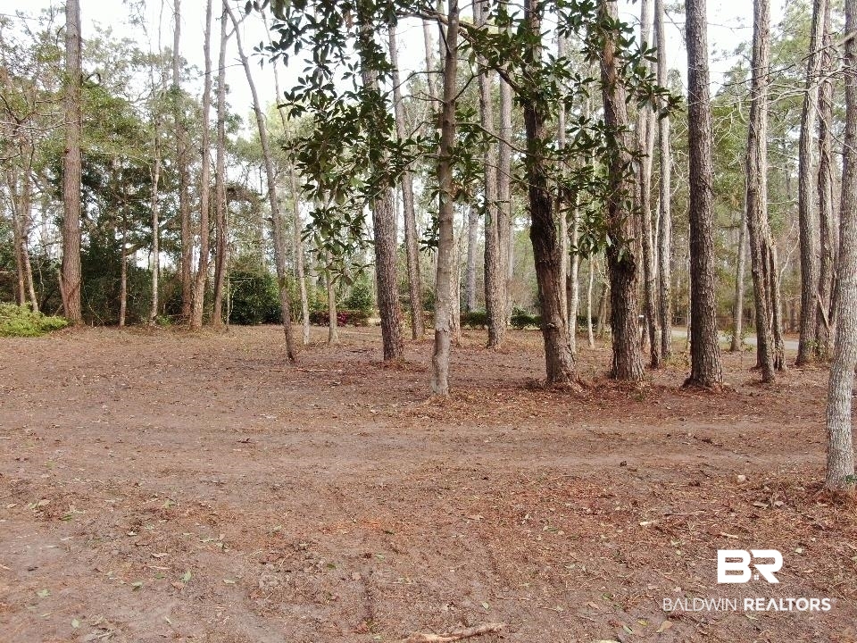 Riverview Nursery Road Theodore, AL 36582 - Photo 23 of 24