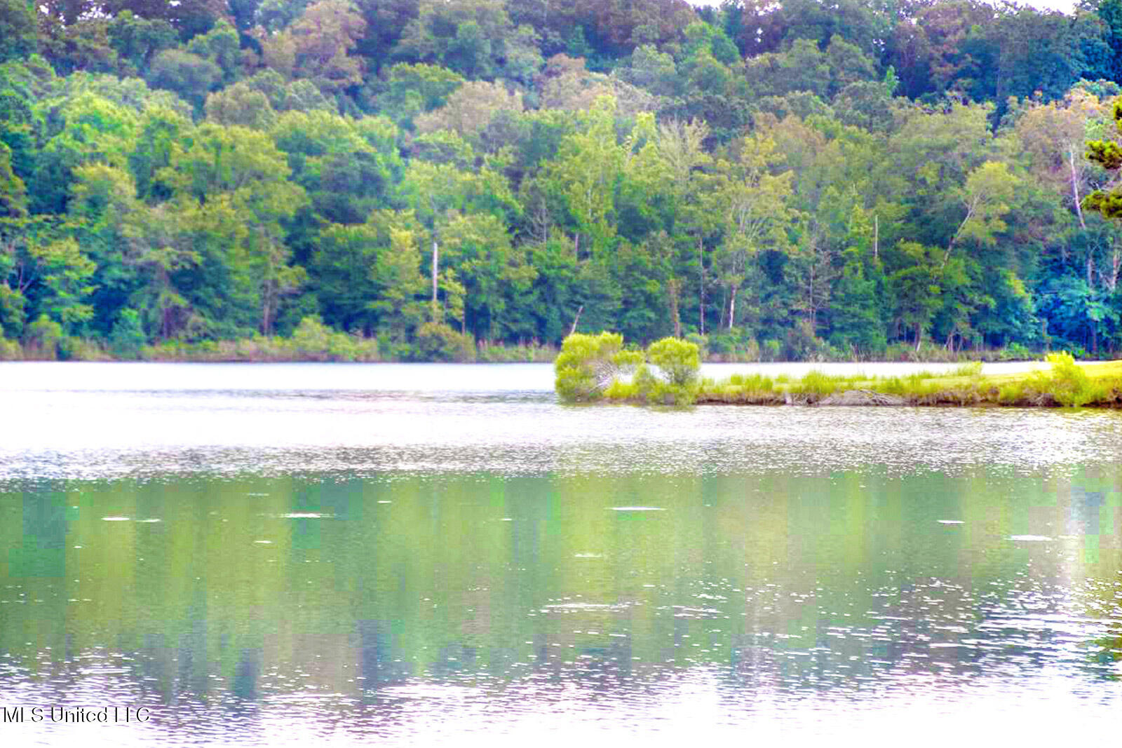 CHESTNUTHILL_SLIDESHOW_07