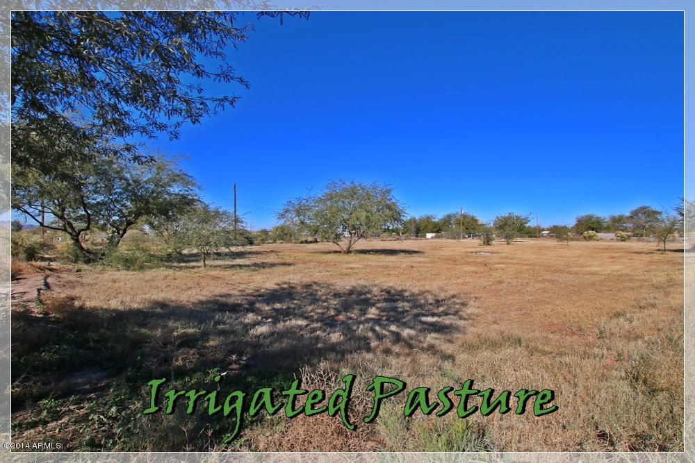 4580 East Rolling Ridge Road San Tan Valley, AZ 85140 - Photo 7 of 32 Pasture