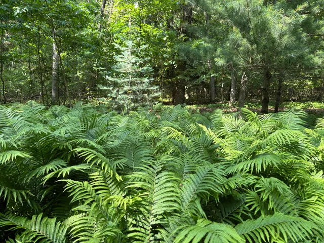 $1,675,000 | 6242 131st Street, Saugatuck, MI 49453