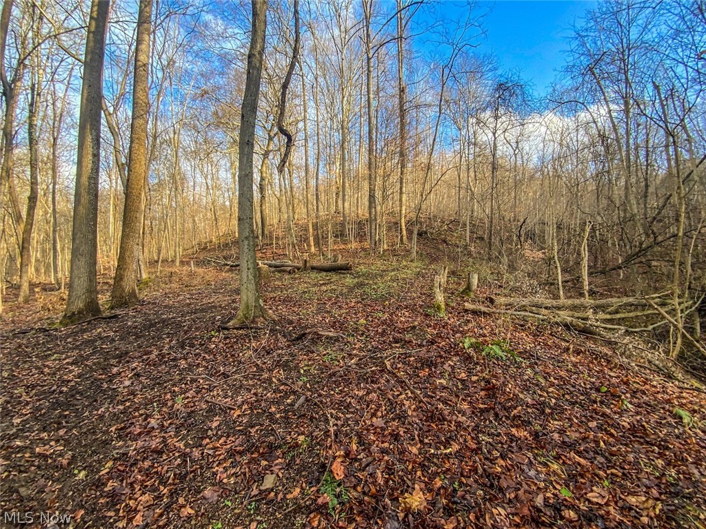 0 New Cut Road Shadyside, OH 43947 - Photo 6 of 31 Gallery Image 6