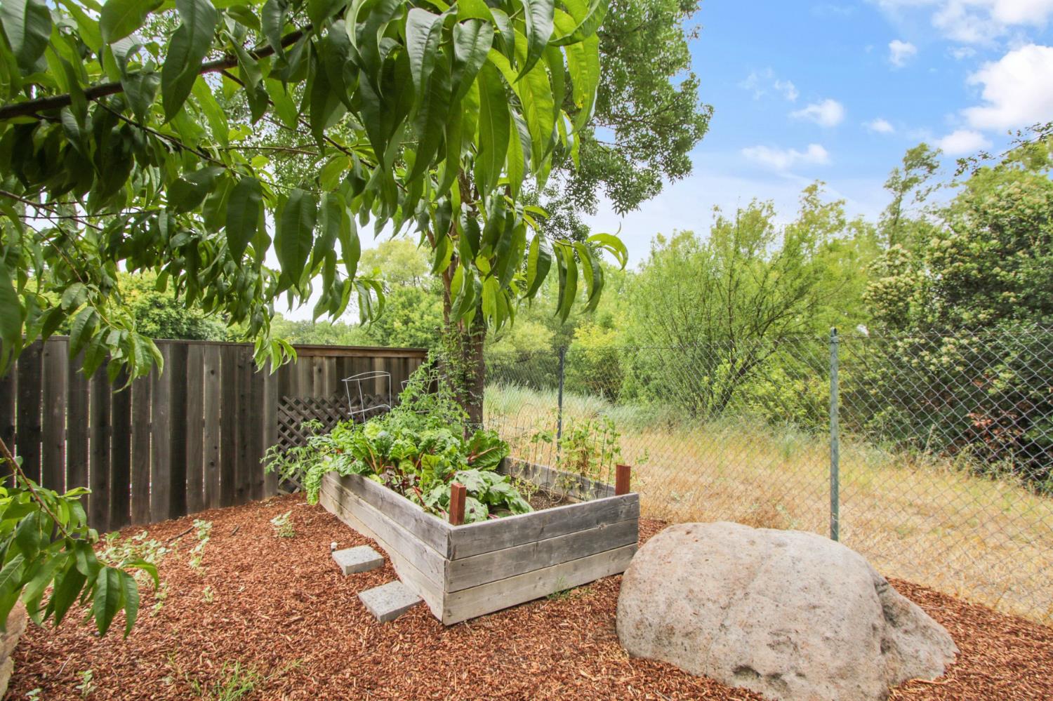 1418 Garrison Street Davis, CA 95616 - Photo 43 of 45