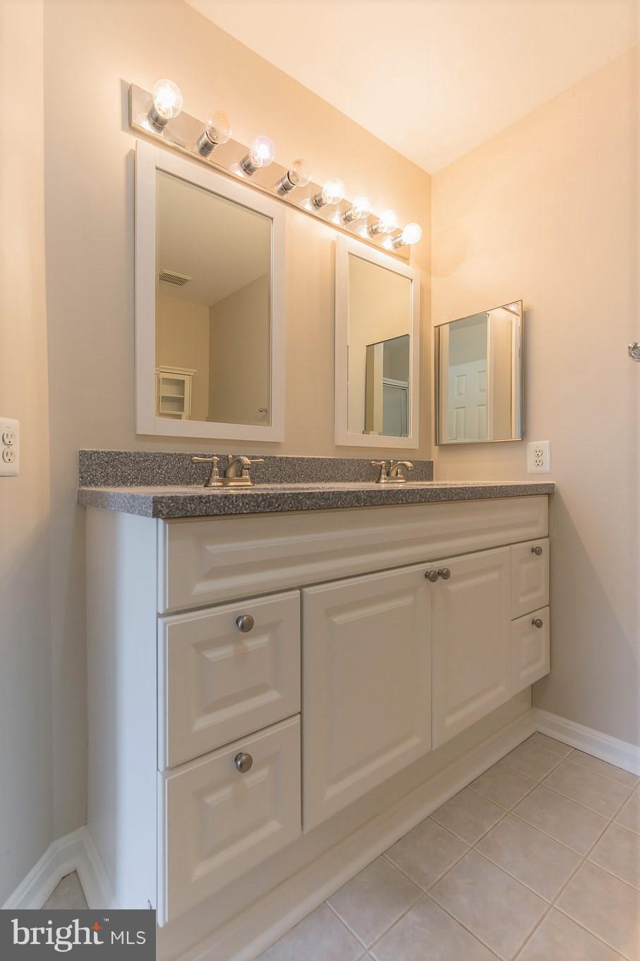 263 Tilden Way Edgewater, MD 21037 - Photo 17 of 30 Updated raised master vanity