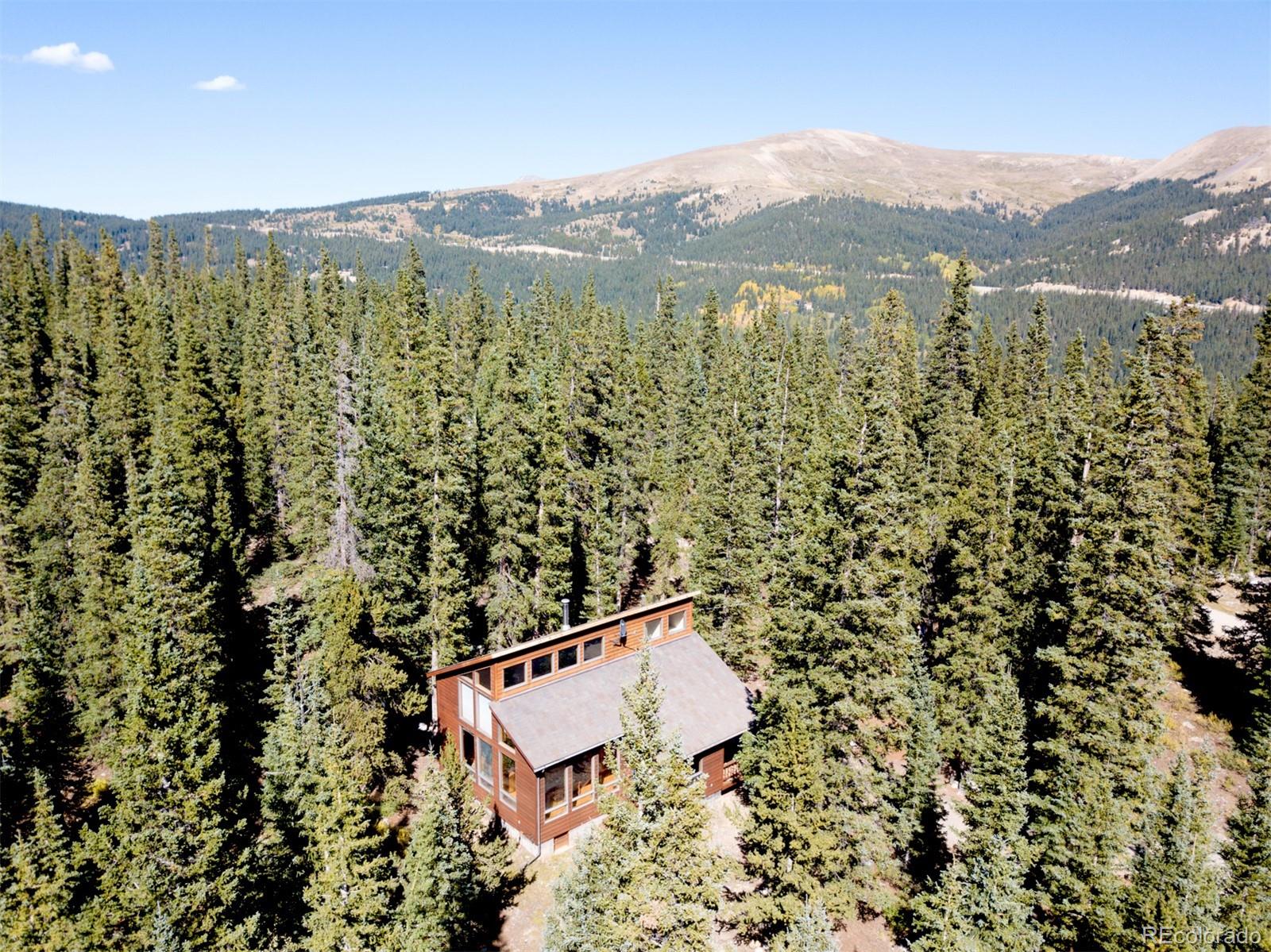 343 Ansley Road Alma, CO 80420 - Photo 1 of 38 Gallery Image 1