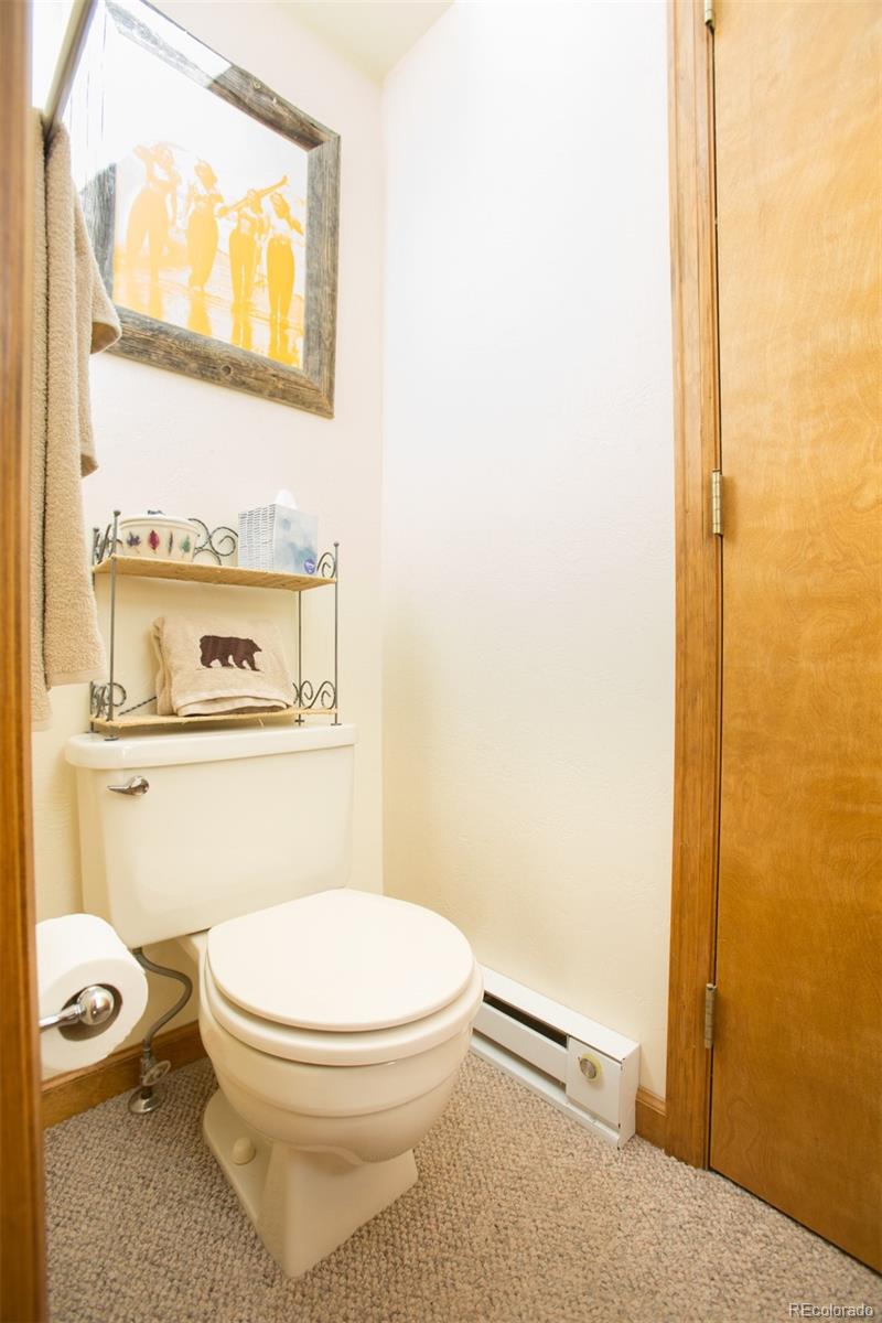 343 Ansley Road Alma, CO 80420 - Photo 18 of 38 Gallery Image 18