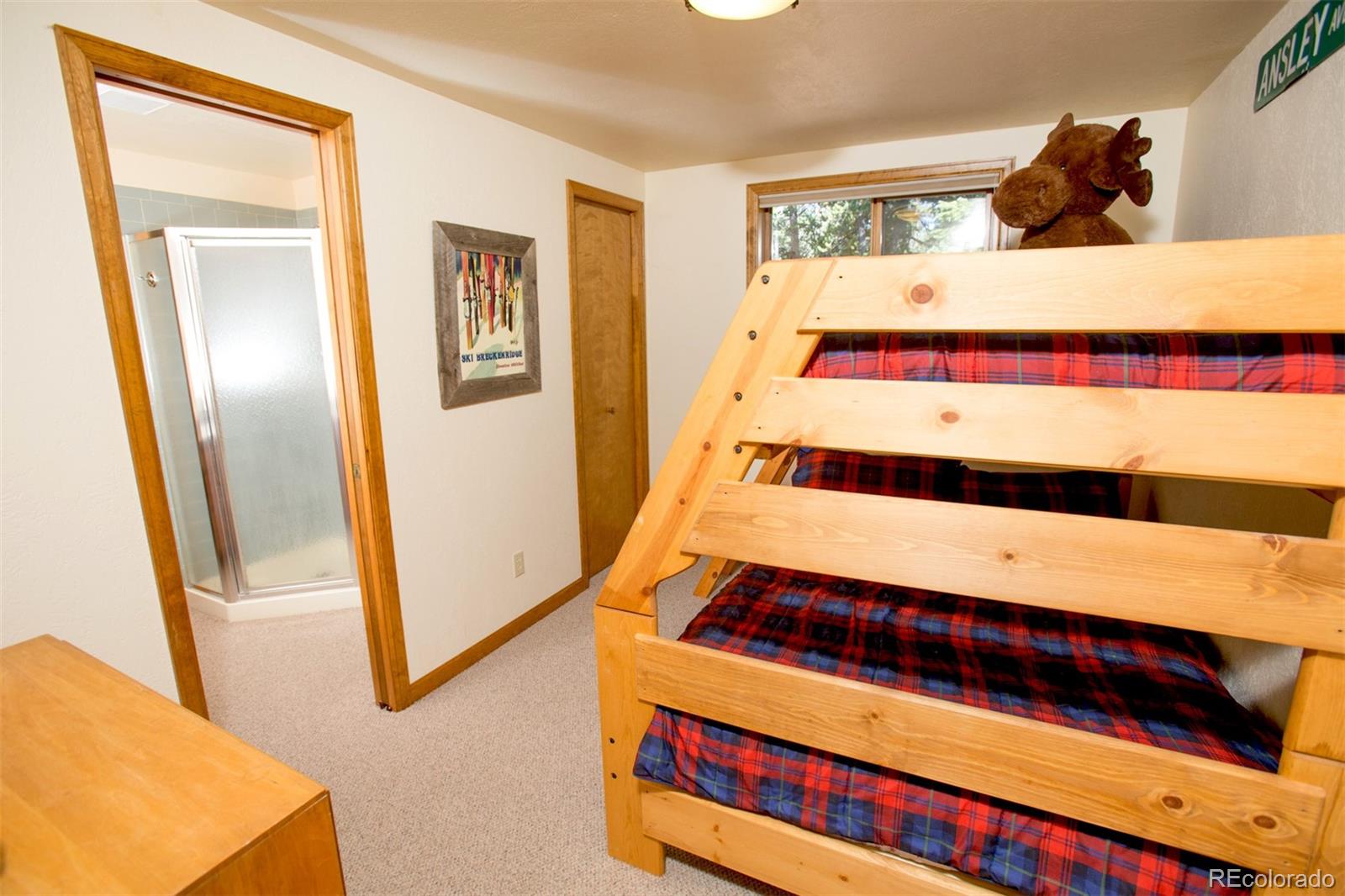 343 Ansley Road Alma, CO 80420 - Photo 25 of 38 Gallery Image 25