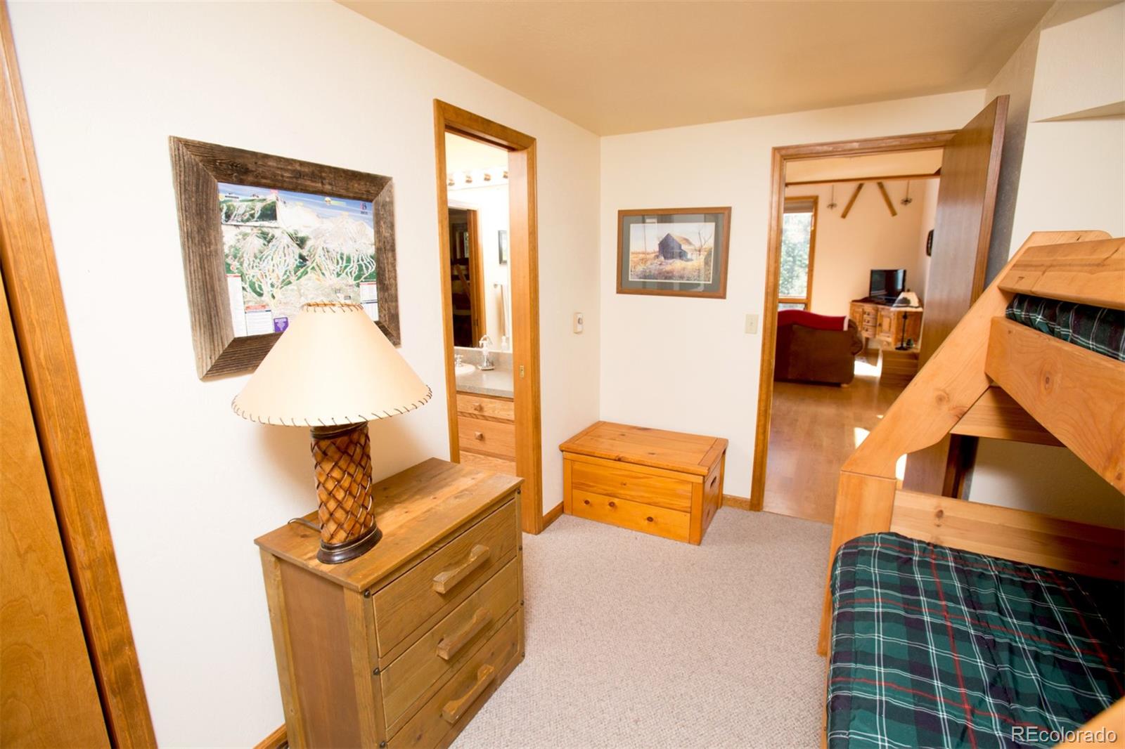 343 Ansley Road Alma, CO 80420 - Photo 37 of 38 Gallery Image 37