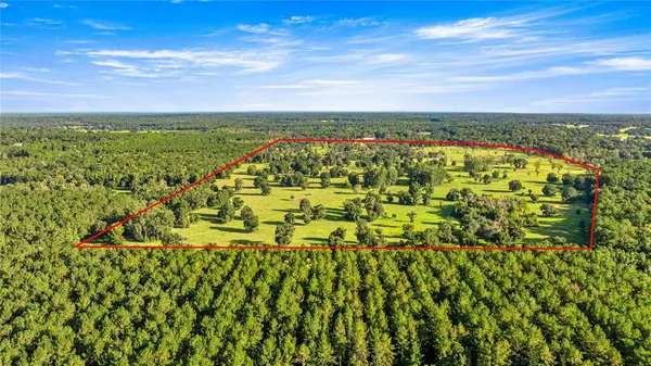 $3,700,000 | 17748 North Highway 329, Reddick, FL 32686