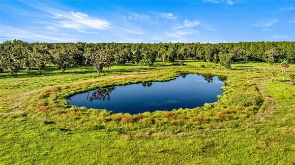 $3,700,000 | 17748 North Highway 329, Reddick, FL 32686