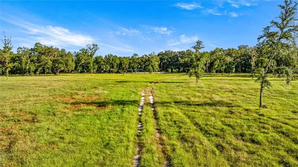 $3,700,000 | 17748 North Highway 329, Reddick, FL 32686