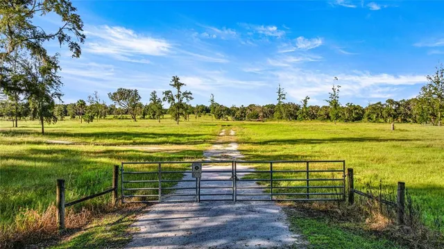 a view of a golf course with a trees