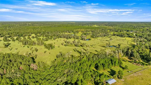 $3,700,000 | 17748 North Highway 329, Reddick, FL 32686