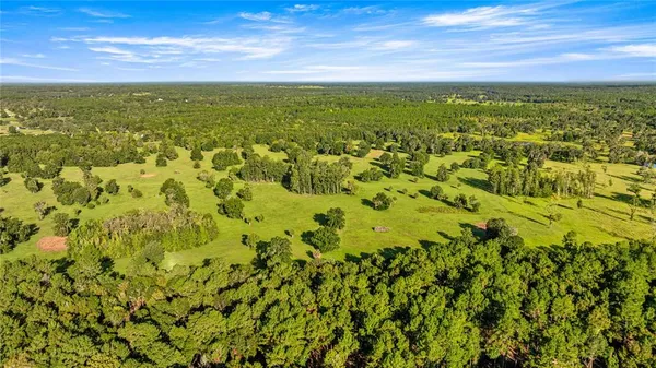 $3,700,000 | 17748 North Highway 329, Reddick, FL 32686