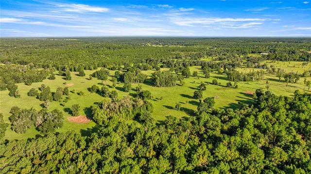 a view of a green field with an ocean