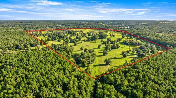 $3,700,000 | 17748 North Highway 329, Reddick, FL 32686